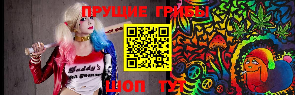 Галлюциногенные грибы Psilocybine cubensis Брянск