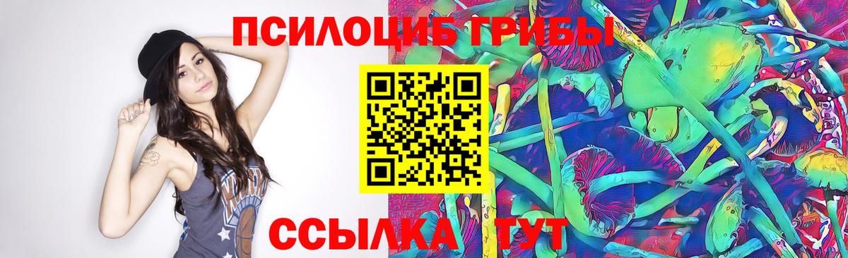 Брянск  Галлюциногенные грибы Psilocybine cubensis  Вход с VPN 